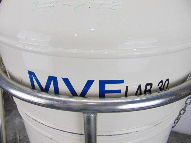 MVE LAB30 Cyro Tank *used working - Tech Equipment Spares, LLC